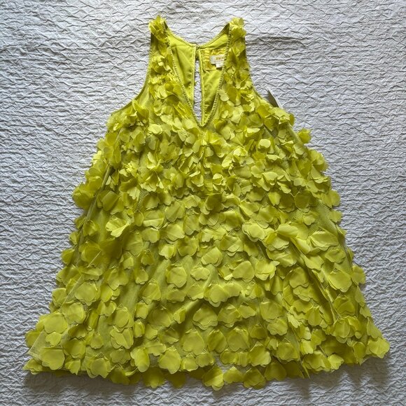 NWT Maeve Sleeveless Floral Appliqué Mini Dress Size S - Picture 3 of 5